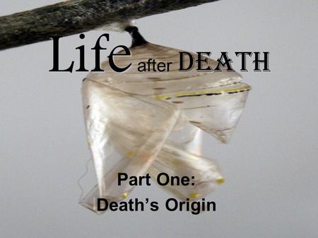 Life Life after Death Part One: Death’s Origin. Genesis 32:1-2 Genesis 2:7 “Then the LORD God formed man of dust from the ground, and breathed into his.