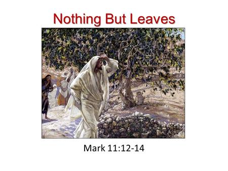 Nothing But Leaves Mark 11:12-14. Jesus and the Cursing of the Fig Tree This story is located during Jesus’ final week in Jerusalem before the cross (Mt.
