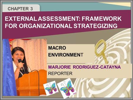 CHAPTER 3 EXTERNAL ASSESSMENT: FRAMEWORK FOR ORGANIZATIONAL STRATEGIZING MARJORIE RODRIGUEZ-CATAYNA REPORTER MACRO ENVIRONMENT.