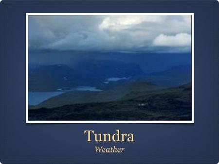 TundraTundra WeatherWeather. Climate and Weather: Winter The Tundra biome is one of the most cold and harshest climates in the world. The dry/cold conditions.
