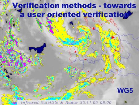Verification methods - towards a user oriented verification WG5.