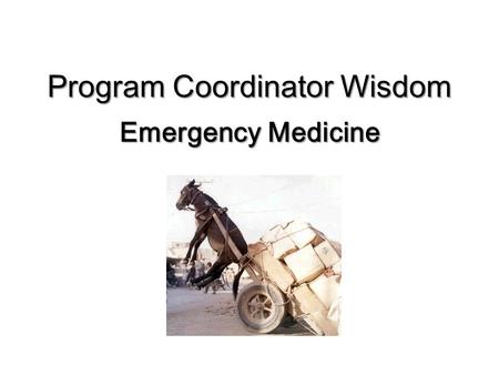 Program Coordinator Wisdom Emergency Medicine. Program Structure 4 Year Residency 12 Residents/PGY = 48 Residents 1 PD 3 APD 2 PC.