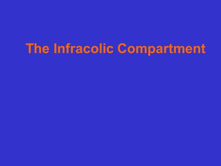 The Infracolic Compartment
