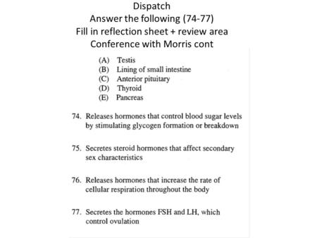 Dispatch Answer the following (74-77) Fill in reflection sheet + review area Conference with Morris cont.