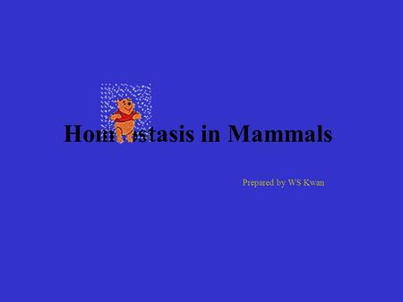 Homeostasis in Mammals Prepared by WS Kwan Definition: Keeping the internal environment in a Steady state.