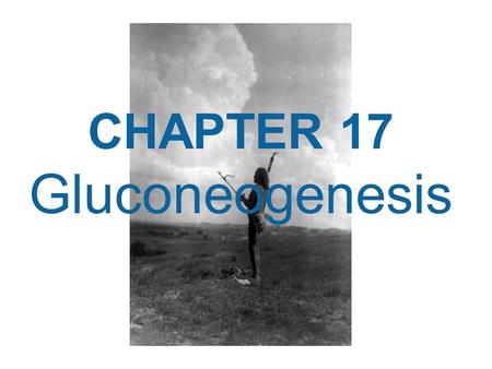 CHAPTER 17 Gluconeogenesis.