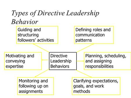 Types of Directive Leadership Behavior