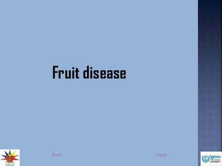 Fruit disease End Next. Introduction:  Fruit diseases are the disease that infects fruit (ripening stage).  Infection may occur in the mother tree itself.