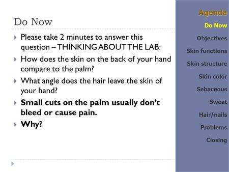 Do Now  Please take 2 minutes to answer this question – THINKING ABOUT THE LAB:  How does the skin on the back of your hand compare to the palm?  What.
