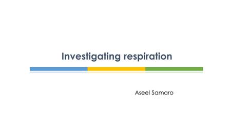 Investigating respiration
