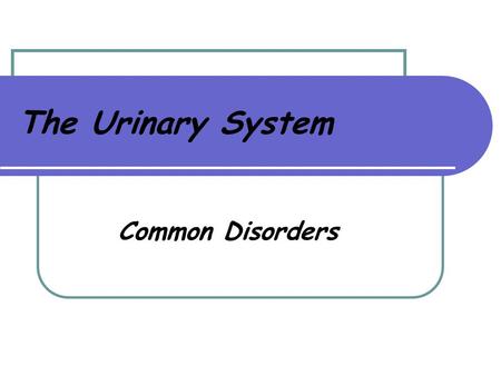 The Urinary System Common Disorders. Urine 95% water 5% waste, toxins and salts Clear, pale amber 1000cc – 2000cc excreted every 24 hours Urochrome is.