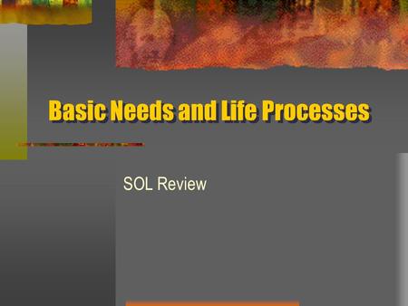 Basic Needs and Life Processes SOL Review. Photosynthesis 12345 A. is the making of food from light, water and carbon dioxide. B. is the changing of food.