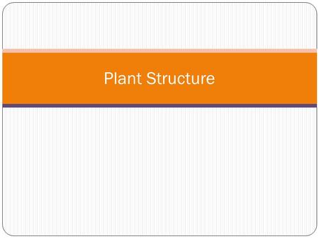Plant Structure.