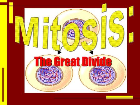 The Great Divide Mitosis: Thanks to person who introduced me