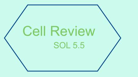 Cell Review SOL 5.5. Which part of the cell represents the cytoplasm?