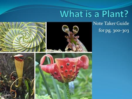 Note Taker Guide for pg. 300-303. Strange Plants.