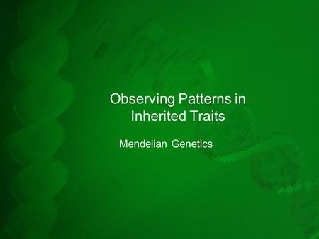 Observing Patterns in Inherited Traits Mendelian Genetics.