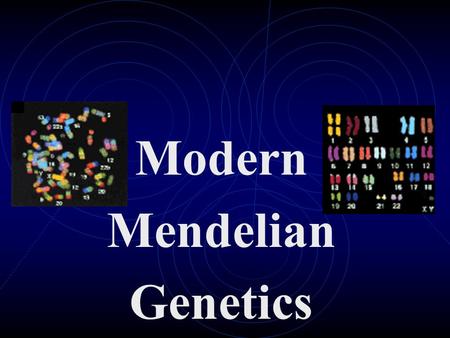 Modern Mendelian Genetics. Gene Expression Every organism has at least two alleles that govern every trait- one from the mother and one from the father-