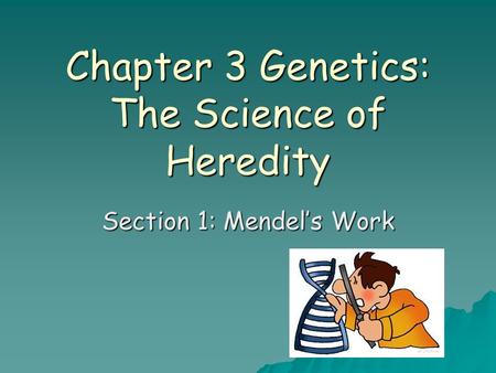 Chapter 3 Genetics: The Science of Heredity Section 1: Mendel’s Work.