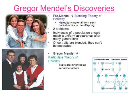 Gregor Mendel’s Discoveries Pre-Mendel  Blending Theory of Heredity –Hereditary material from each parent mixes in the offspring 2 problems Individuals.