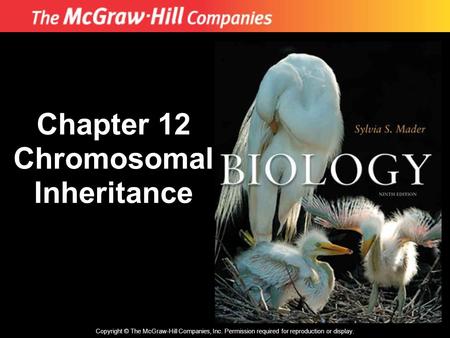 Copyright © The McGraw-Hill Companies, Inc. Permission required for reproduction or display. Chapter 12 Chromosomal Inheritance.