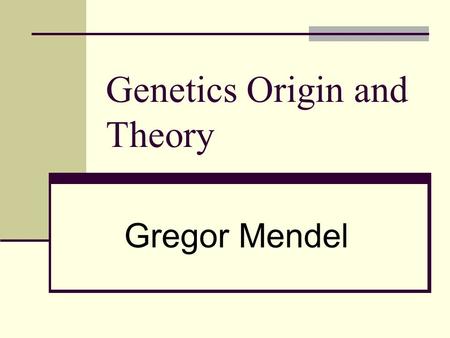 Genetics Origin and Theory Gregor Mendel. Pea Plant Characters and Traits Wrinkled Short Character Trait.