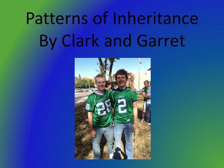 Patterns of Inheritance By Clark and Garret. Heredity Definition- The transmission of traits from one generation to the next.