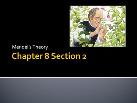 Mendel’s Theory.  Mendel correctly concluded from his experiments that each pea plant has two separate “heritable factor” for each trait – one from each.