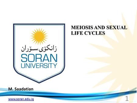 Www.soran.edu.iq M. Saadatian MEIOSIS AND SEXUAL LIFE CYCLES 1.