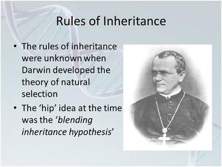 Rules of Inheritance The rules of inheritance were unknown when Darwin developed the theory of natural selection The ‘hip’ idea at the time was the ‘blending.