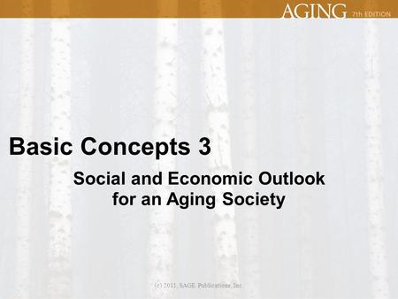 Basic Concepts 3 Social and Economic Outlook for an Aging Society (c) 2011, SAGE Publications, Inc.