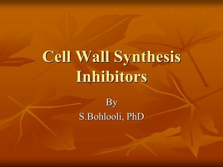 Cell Wall Synthesis Inhibitors By S.Bohlooli, PhD.