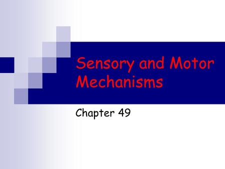 Sensory and Motor Mechanisms Chapter 49. Sensing and Acting Bats use sonar to detect their prey Moths  can detect the bat’s sonar and attempt to flee.