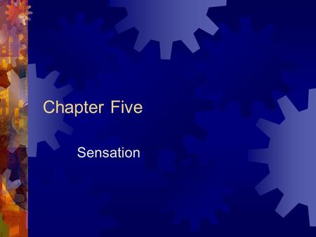 Chapter Five Sensation. The Basics  Sensation  The mechanical process by which we “take in” physical information from the outside world  Psychophysics.