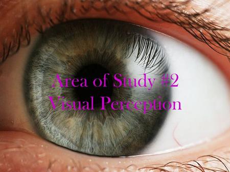Area of Study #2 Visual Perception