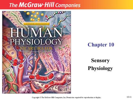Copyright © The McGraw-Hill Companies, Inc. Permission required for reproduction or display. Chapter 10 Sensory Physiology 10-1.