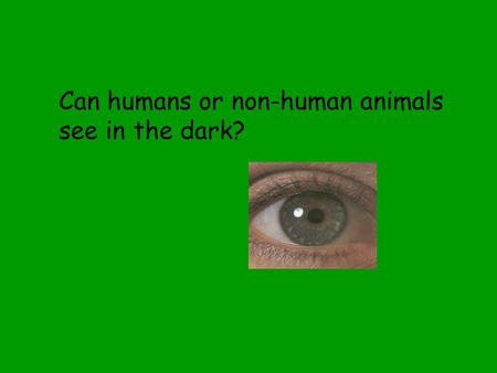 Can humans or non-human animals see in the dark?.