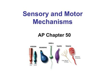 Sensory and Motor Mechanisms AP Chapter 50. Notice You do not need to know the specific neuroanatomy of the sensory organs, rather the mechanisms of how.