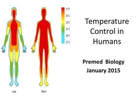 Temperature Control in Humans Premed Biology January 2015.