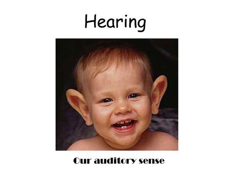 Hearing Our auditory sense. We hear sound WAVES The height of the wave gives us the amplitude of the sound (loudness). Amplitude is measured in Decibels.