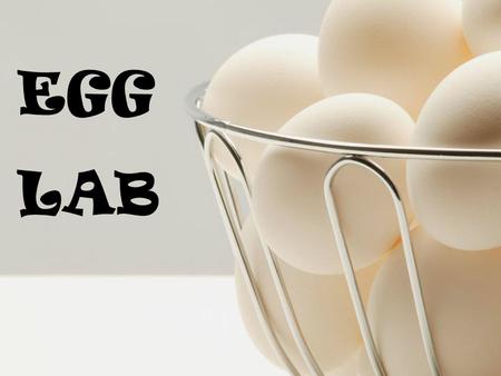 EGG LAB. Lab Report Objective Materials List –All materials used in the experiment (even if used only once) Procedures Results –Data table and observations.