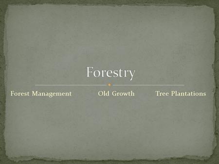 Forest ManagementOld Growth Tree Plantations. Tree Plantations are artificial forests created by humans Also known as tree farms. Usually only one tree.