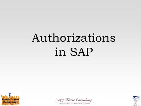 Authorizations in SAP.