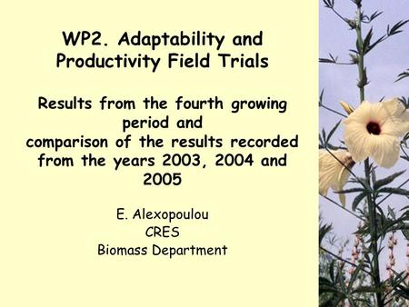 WP2. Adaptability and Productivity Field Trials Results from the fourth growing period and comparison of the results recorded from the years 2003, 2004.