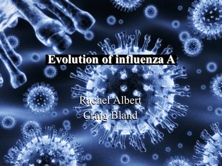 Evolution of influenza A Rachel Albert Craig Bland Evolution of influenza A.
