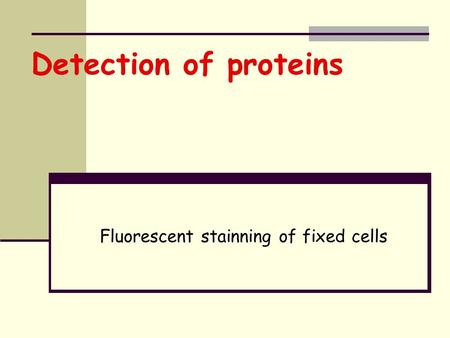 Detection of proteins Fluorescent stainning of fixed cells.