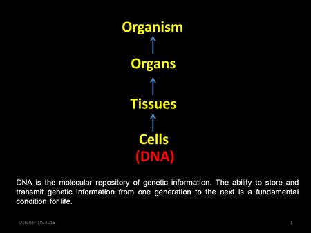 Organism Organs Tissues Cells (DNA) October 18, 20151 DNA is the molecular repository of genetic information. The ability to store and transmit genetic.