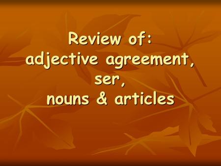 Review of: adjective agreement, ser, nouns & articles.