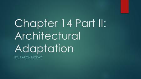 Chapter 14 Part II: Architectural Adaptation BY: AARON MCKAY.