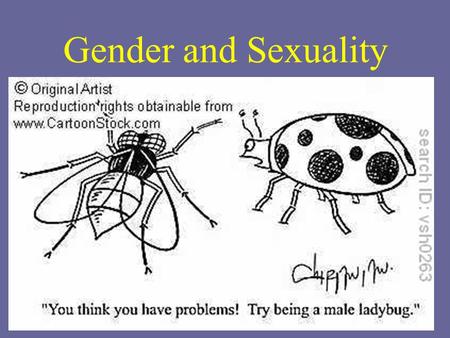 Gender and Sexuality. Some Definitions Sex—the biological category of male or female; sexual intercourse Gender—cultural, social, and psychological meanings.